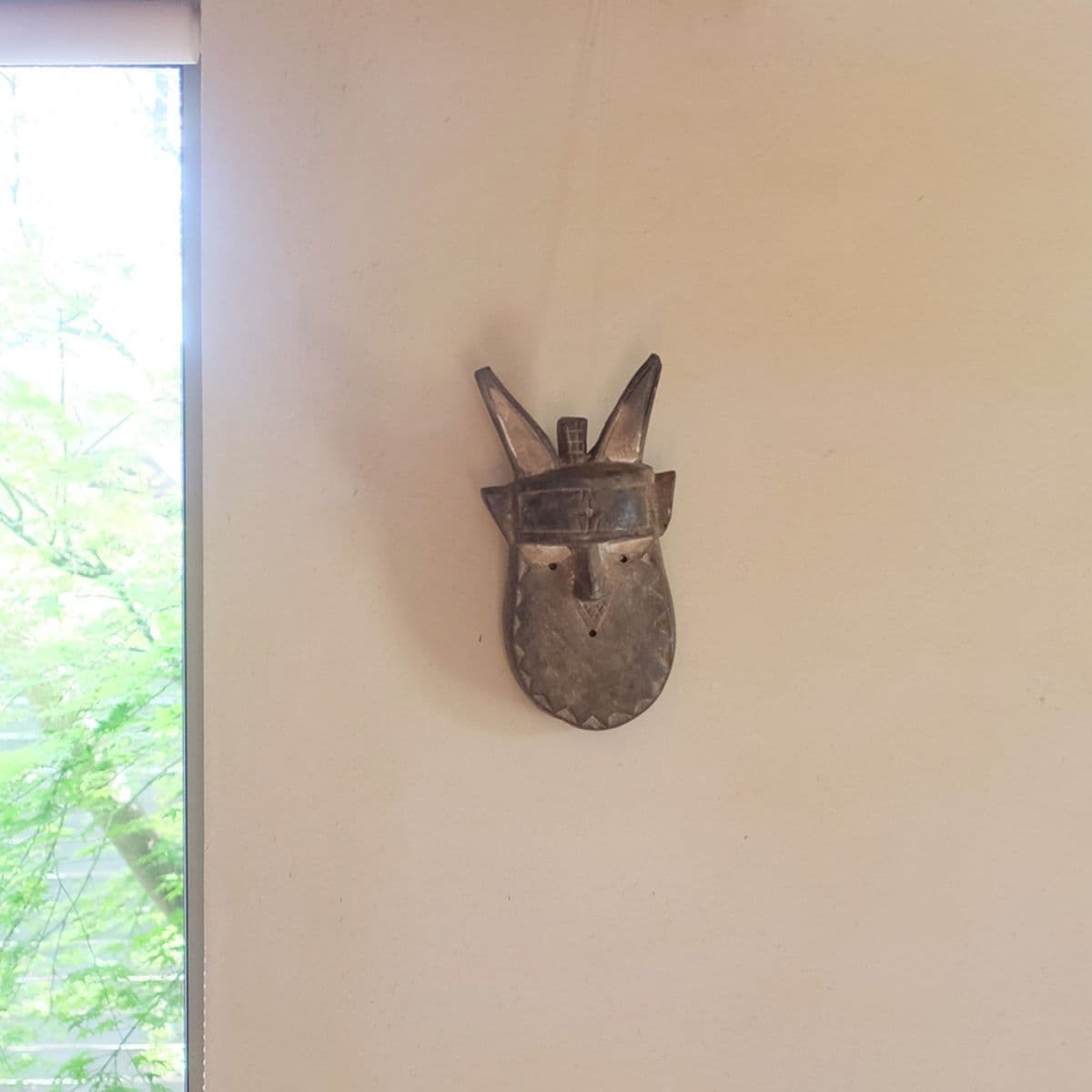 toma mask