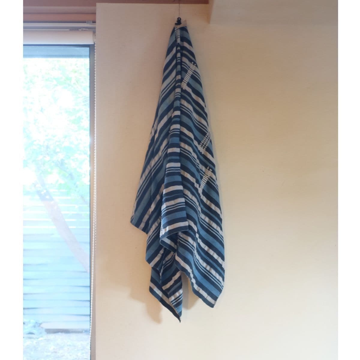 アフリカンインディゴ全体